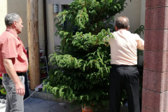 IMG-20220617-WA0026
