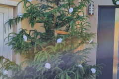 WhatsApp-Image-2022-06-19-at-11.49.23