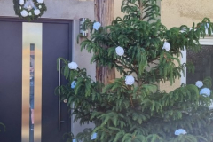 WhatsApp-Image-2022-06-19-at-11.49.24